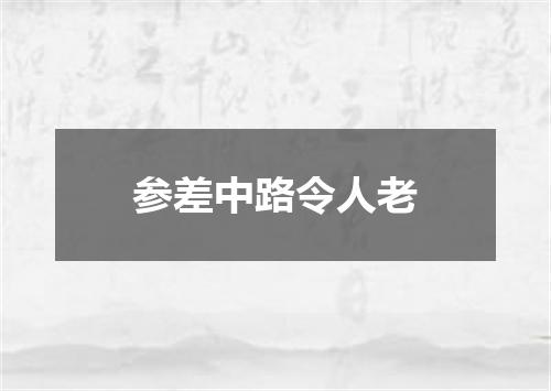 参差中路令人老