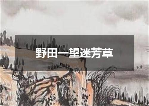 野田一望迷芳草