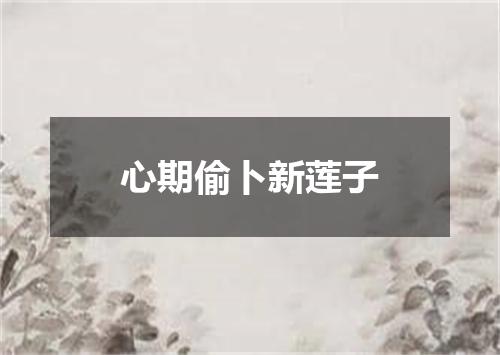 心期偷卜新莲子