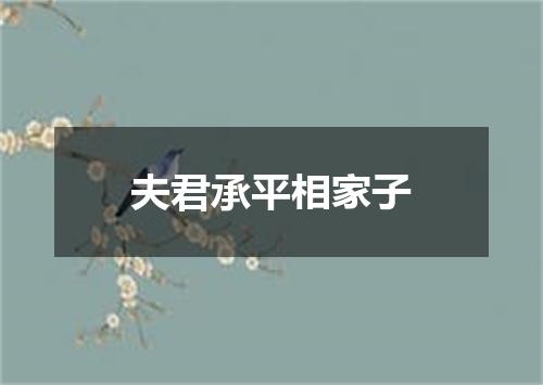 夫君承平相家子