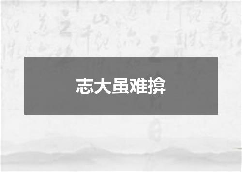 志大虽难揜