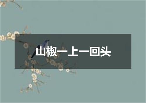 山椒一上一回头