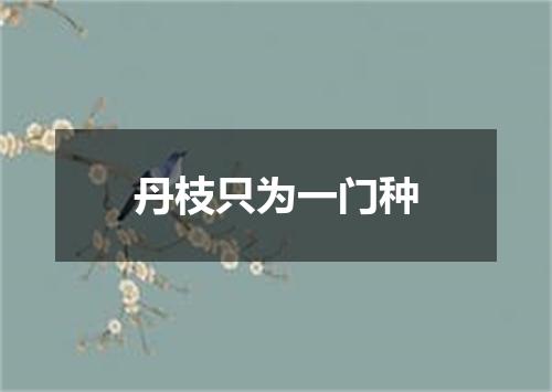 丹枝只为一门种