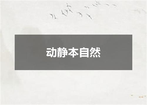 动静本自然