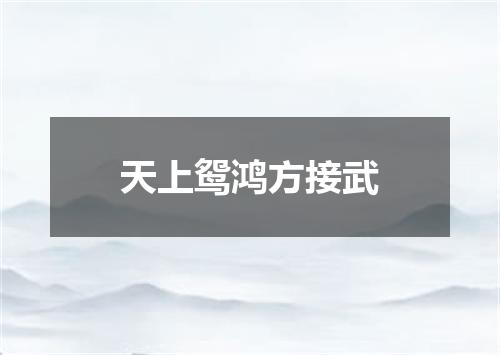 天上鸳鸿方接武