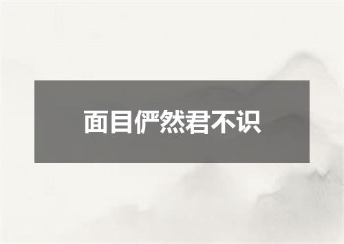 面目俨然君不识