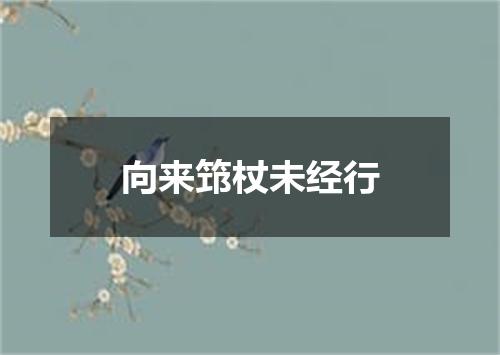 向来筇杖未经行