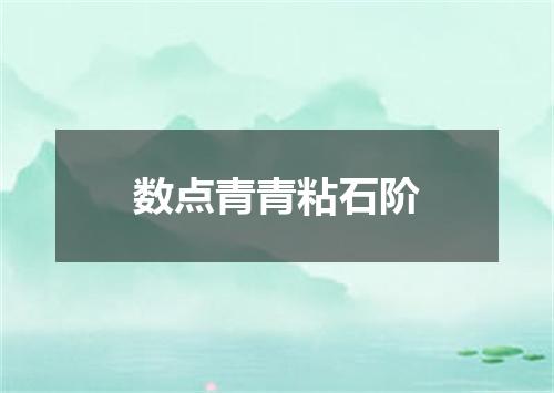 数点青青粘石阶