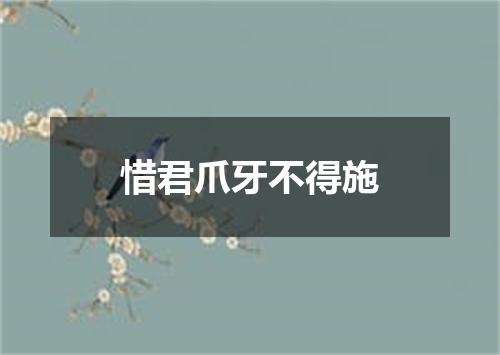 惜君爪牙不得施