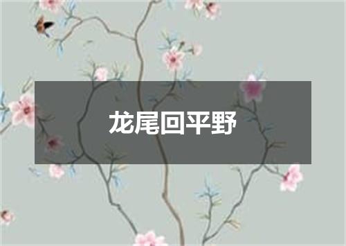 龙尾回平野