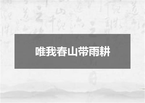 唯我春山带雨耕