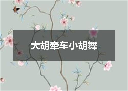 大胡牵车小胡舞