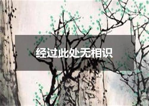 经过此处无相识