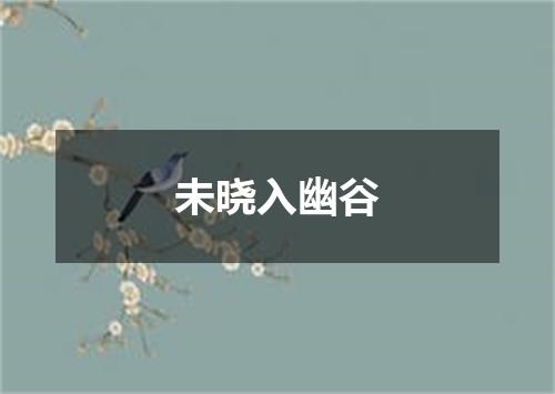 未晓入幽谷