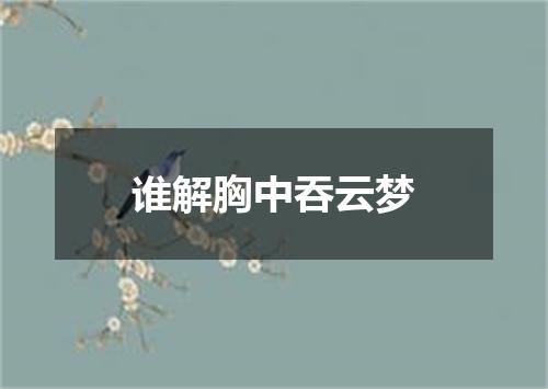 谁解胸中吞云梦