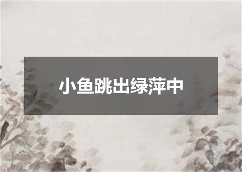 小鱼跳出绿萍中