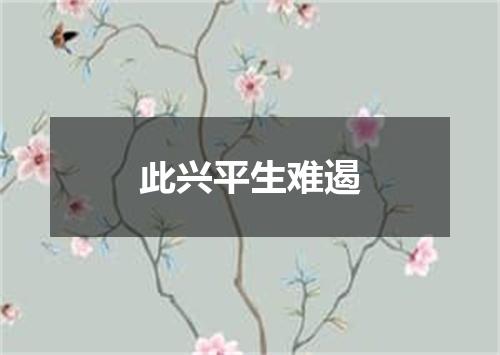 此兴平生难遏