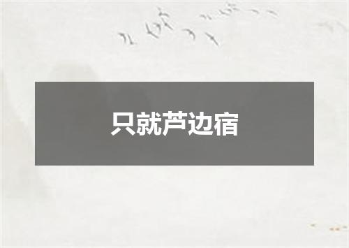 只就芦边宿