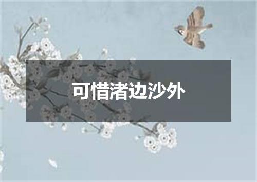 可惜渚边沙外