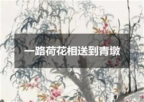 一路荷花相送到青墩