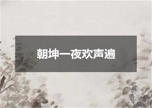 朝坤一夜欢声遍
