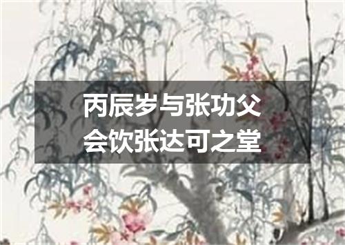 丙辰岁与张功父会饮张达可之堂