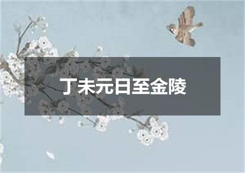 丁未元日至金陵