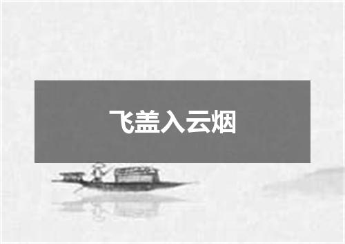 飞盖入云烟