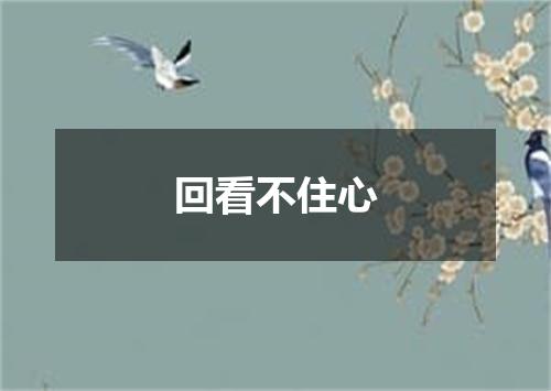 回看不住心