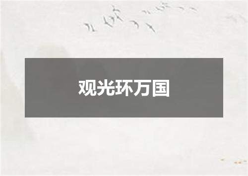 观光环万国