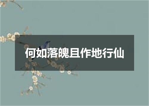 何如落魄且作地行仙