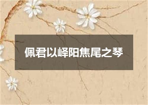 佩君以峄阳焦尾之琴