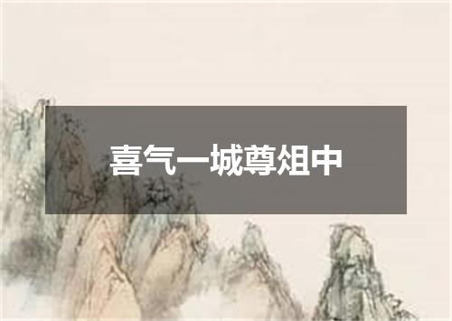 喜气一城尊俎中
