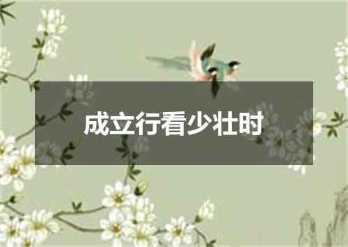 成立行看少壮时
