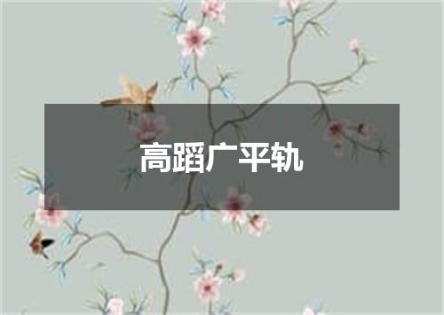 高蹈广平轨