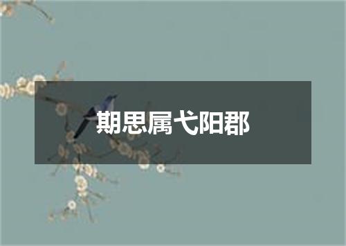 期思属弋阳郡