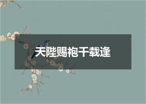 天陛赐袍千载逢