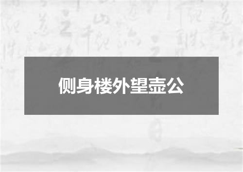 侧身楼外望壶公