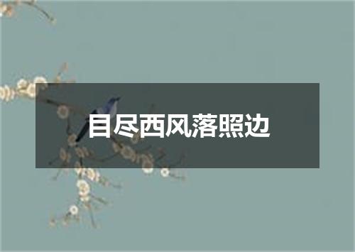 目尽西风落照边