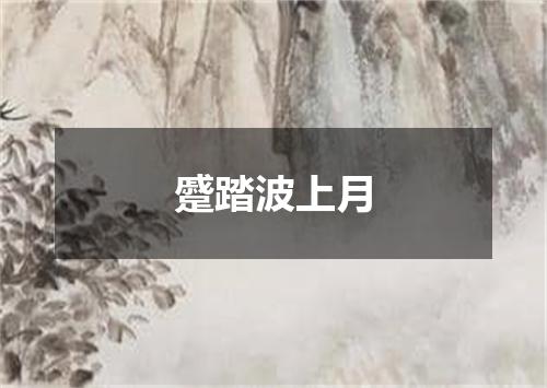 蹙踏波上月