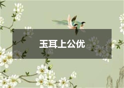玉耳上公优