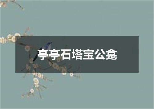亭亭石塔宝公龛
