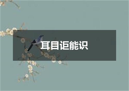 耳目讵能识