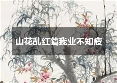 山花乱红蘤我业不知疲
