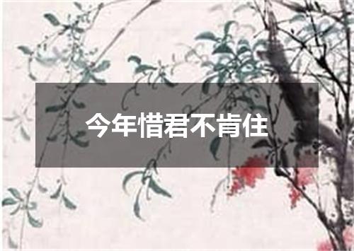 今年惜君不肯住