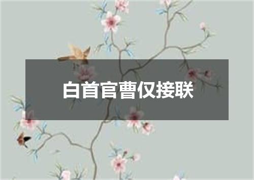 白首官曹仅接联