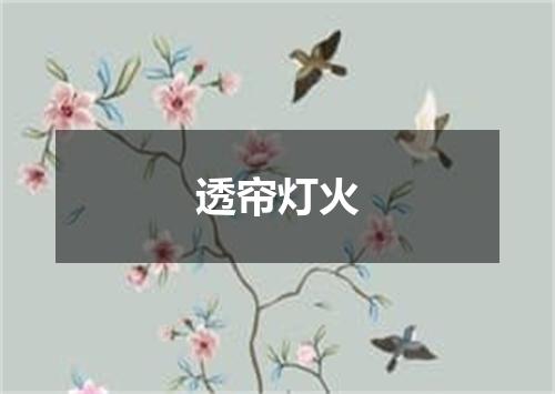 透帘灯火