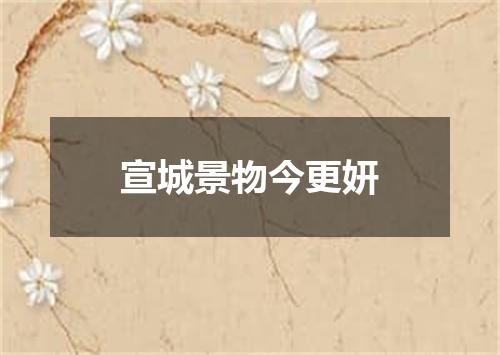 宣城景物今更妍
