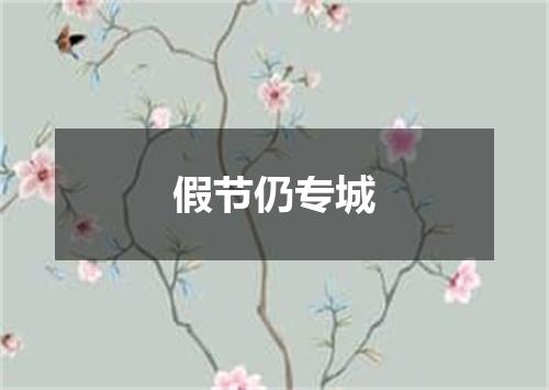 假节仍专城
