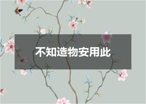 不知造物安用此